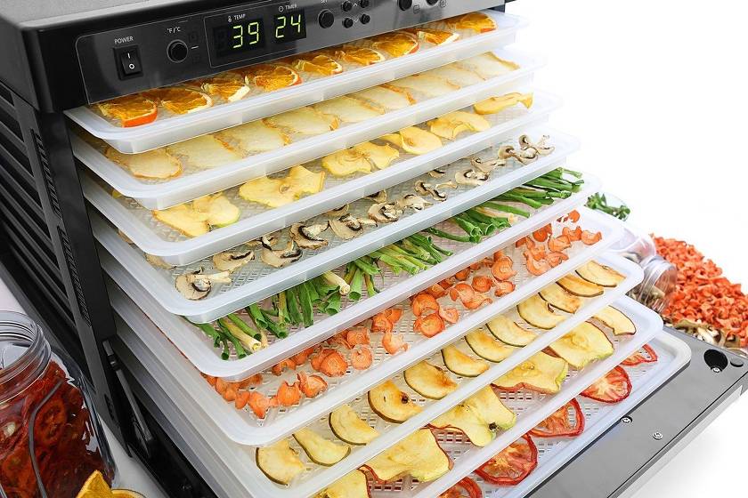 The best dryers for fruits and vegetables of 2020